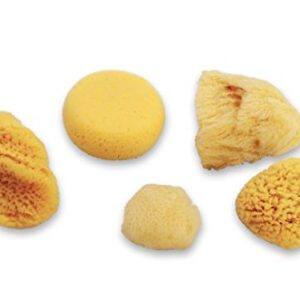 Natural Sea & Synthetic Sponges - Assorted Sizes 7pc Value Pack for Crafts & Artists: Great for Painting, Hobbies, Art, Effects, Ceramics, Clay, Pottery by Lullingworth®