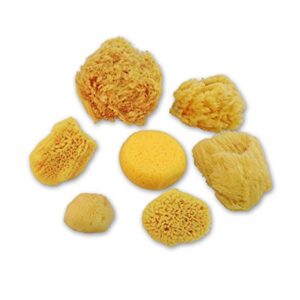 Natural Sea & Synthetic Sponges - Assorted Sizes 7pc Value Pack for Crafts & Artists: Great for Painting, Hobbies, Art, Effects, Ceramics, Clay, Pottery by Lullingworth®