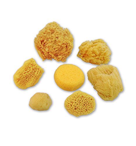 Natural Sea & Synthetic Sponges - Assorted Sizes 7pc Value Pack for Crafts & Artists: Great for Painting, Hobbies, Art, Effects, Ceramics, Clay, Pottery by Lullingworth®