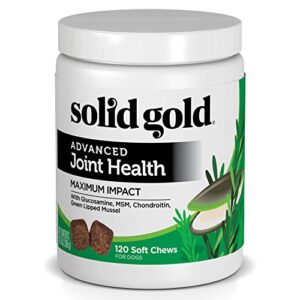 solid gold hip and joint supplement for dogs - glucosamine chondroitin msm for advanced joint & mobility support - omega 3 fish oil antioxidant & immune health support - 120 soft chews