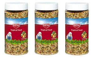kaytee 3 pack of tropical treat, 11 ounces each, millet grain and fruit snack for all parakeets