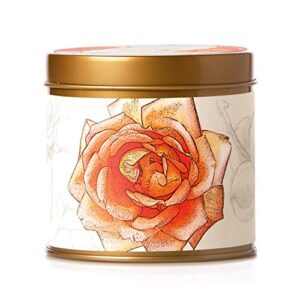 rosy rings signature tin candle - aromatherapy fragrance elegant home decor gift long lasting 50 hour burn botanical floral notes of apricot, blond woods, mirabelle plum, pomelo, violet (apricot rose)