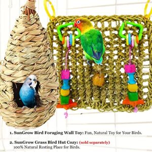 SunGrow Bird, Small Animals & Rabbit Foraging Wall Chew Toy with Hanging Hook, Seagrass Woven Mat with Colorful Wooden Blocks, Grind Teeth