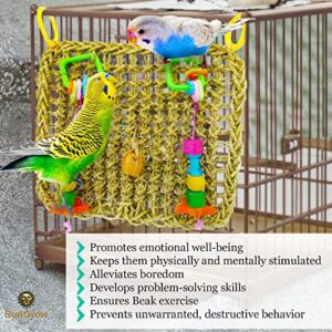 SunGrow Bird, Small Animals & Rabbit Foraging Wall Chew Toy with Hanging Hook, Seagrass Woven Mat with Colorful Wooden Blocks, Grind Teeth