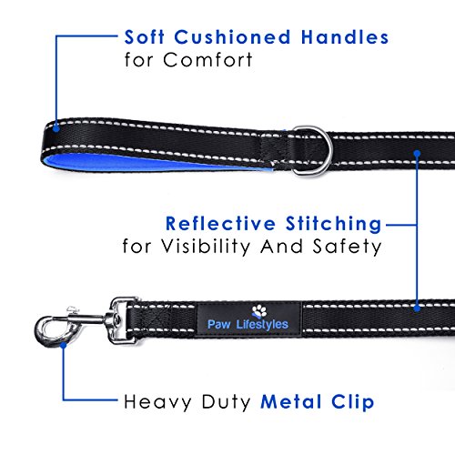 Heavy Duty Dog Leash - 2 Handles - Padded Traffic Handle for Extra Control, 7ft Long - Perfect Leashes for Medium to Large Dogs