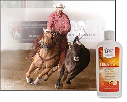 UltraCruz - sc-516110 Veterinary Liniment Gel for Horses, 12 oz