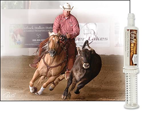 UltraCruz sc-516041 Equine Electrolyte Supplement for Horses, 60 ml, Paste