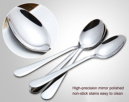 Stainless Steel Dinner Spoon (Set of 6)7.1 Inches, Silver