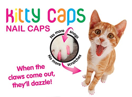 Kitty Caps Nail Caps for Cats | Safe, Stylish & Humane Alternative to Declawing | Stops Snags and Scratches, Medium (9-13 lbs), Black with Gray Tips & Baby Blue