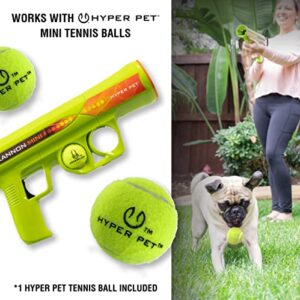 Hyper Pet Dog Ball Thrower-Interactive Toys (Load & Launch Tennis Balls for Dogs to Fetch) [Best Ball Launcher Toys for Large, Medium & Small Dogs] 3 Styles Available