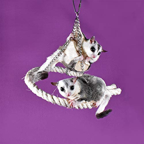 Sisal Swing - Natural Rope Interactive Hanging Swing Perch Cage Accessory Toy - Sugar Gliders, Squirrels, Degus, Opossums, Marmosets, Monkeys, Parrots, Birds, Rats & Other Small Pets