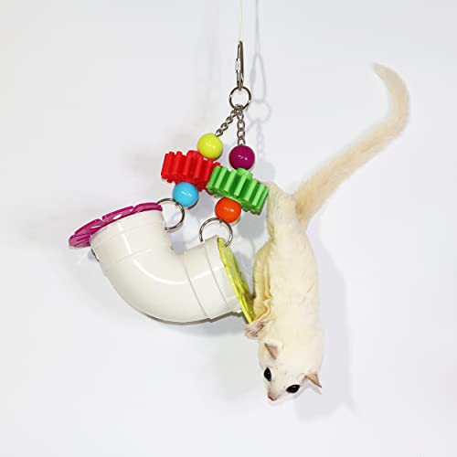 PVC Forager - Durable Fun Treat Foraging Cage Accessory Toy - for Sugar Gliders, Squirrels, Chinchillas, Prairie Dogs, Degus, Skunks, Marmosets, Monkeys, Parrots, Birds, Rats, Hamsters & Gerbils