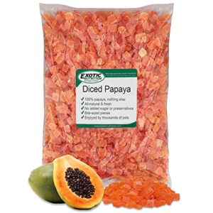 exotic nutrition papaya treat 1/2 lb - healthy natural dried fruit treat - sugar gliders, rats, parrots, hamsters, squirrels
