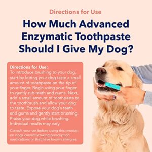 Vets Preferred Dog Enzymatic Toothpaste – Safe and Natural Dog Oral Care Toothpaste – Freshens Breath, Fights Plaque and Reduces Tatar – Tasty Peanut Butter Flavor – 3 Oz