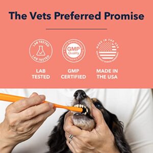 Vets Preferred Dog Enzymatic Toothpaste – Safe and Natural Dog Oral Care Toothpaste – Freshens Breath, Fights Plaque and Reduces Tatar – Tasty Peanut Butter Flavor – 3 Oz