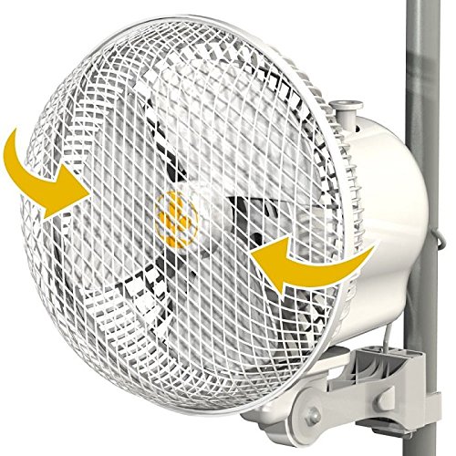 20W Monkey Fan Oscillating