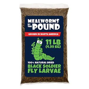 north american grown dried black soldier fly larvae (11 lbs) - more calcium than mealworms - treats for chickens, wild birds, & reptiles