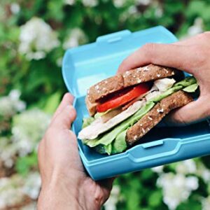 Trudeau 8oz Sandwhich Box, Tropical