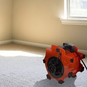 Blower Fan - 3-Speed Heavy-Duty Floor and Carpet Dryer - Portable Air Mover with 4 Different Angles for Basements, Cars, or Garages by Stalwart (Red)