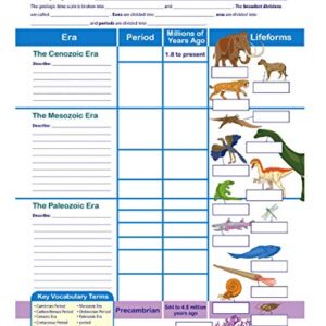NewPath Learning-947122 Geologic Time Scale Visual Learning Guides, Set/5-4-Panel, 11" x 17" Laminated Guides, Full-Color Graphic Overview, Write-On/Wipe-Off Activities