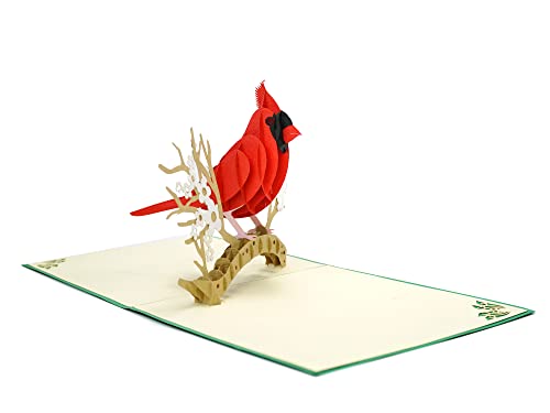 CUTPOPUP Mother's Day, Birthday Card Pop Up, 3D Greeting Card (Red Cardinal)