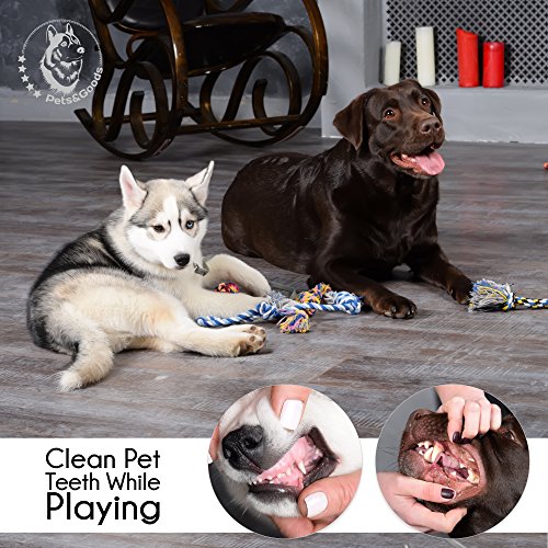 Dog Chew Toys - Puppy Teething Toys- Puppy Chew Toys - Rope Dog Toy - Puppy Toys - Small - Dog Toy Pack - Tug Toy - Dog Toy Set - Washable Cotton Rope for Dogs