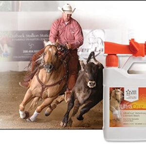 UltraCruz Veterinary Liniment Wash for Horses, 32 oz Travel Spray