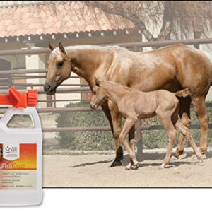 UltraCruz Veterinary Liniment Wash for Horses, 32 oz Travel Spray