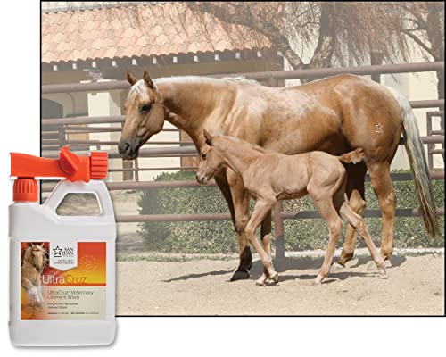 UltraCruz Veterinary Liniment Wash for Horses, 32 oz Travel Spray