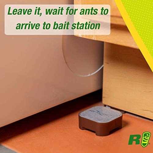 RESCUE! Ant Baits – Indoor Ant Killer, Ant Trap Alternative - 6 Bait Stations