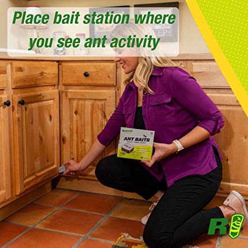 RESCUE! Ant Baits – Indoor Ant Killer, Ant Trap Alternative - 6 Bait Stations