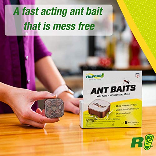 RESCUE! Ant Baits – Indoor Ant Killer, Ant Trap Alternative - 6 Bait Stations