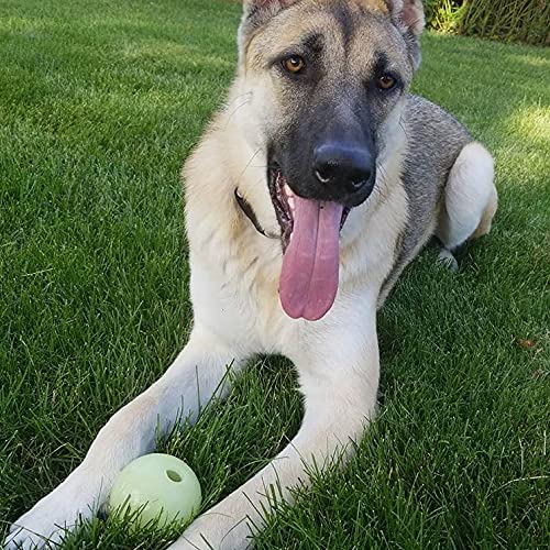 Chew King Dog 2 Piece Glowing Fetch Ball,White for Medium Breeds