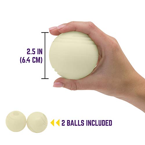 Chew King Dog 2 Piece Glowing Fetch Ball,White for Medium Breeds