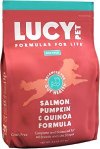 lucy pet formulas for life salmon, pumpkin, & quinoa dry dog food, all breeds & life stages, digestive health, sensitive stomach & skin - 4.5 lb