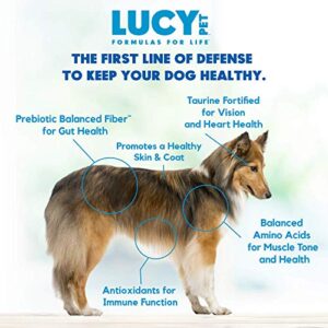 Lucy Pet Formulas for Life Salmon, Pumpkin, & Quinoa Dry Dog Food, All Breeds & Life Stages, Digestive Health, Sensitive Stomach & Skin - 4.5 lb