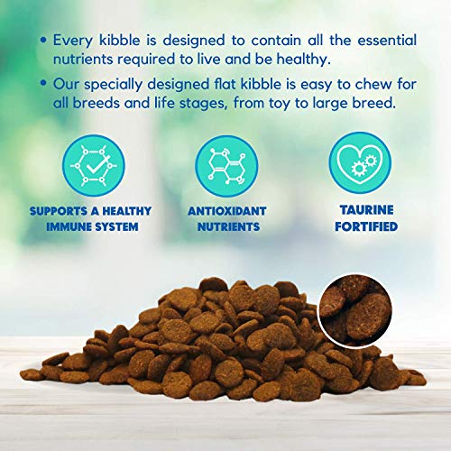 Lucy Pet Formulas for Life Salmon, Pumpkin, & Quinoa Dry Dog Food, All Breeds & Life Stages, Digestive Health, Sensitive Stomach & Skin - 4.5 lb