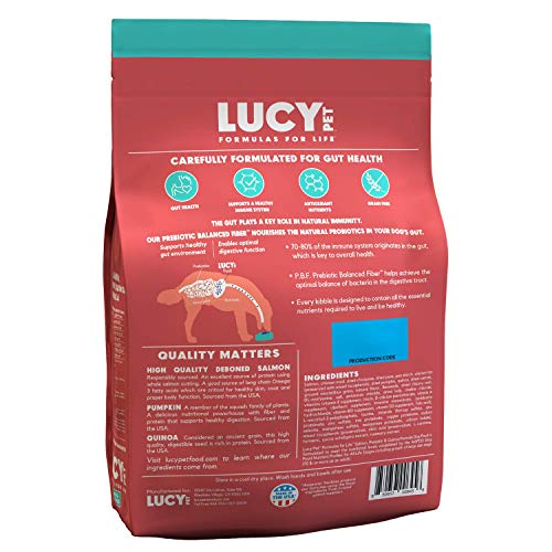 Lucy Pet Formulas for Life Salmon, Pumpkin, & Quinoa Dry Dog Food, All Breeds & Life Stages, Digestive Health, Sensitive Stomach & Skin - 4.5 lb