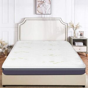 giantex mattress memory foam bed mattress zipped washable bamboo cover 10" mattress (california king)