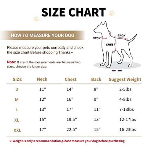 LESYPET Warm Dog Jacket Winter Dog Coats Windproof Waterproof Fleece Lined Dog Leather Jackets for Small Dogs Puppy Black Large