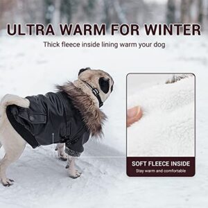 LESYPET Warm Dog Jacket Winter Dog Coats Windproof Waterproof Fleece Lined Dog Leather Jackets for Small Dogs Puppy Black Large