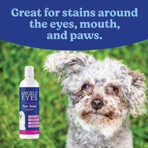 Angels’ Eyes Gentle Tear Stain Solution for Dogs and Cats | 8 oz Solution for Eye Area and Face | Remove Discharge, Dirt, Tear Stains, and Mucus