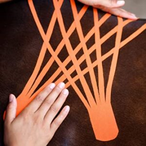 VETKIN VetkinTape® Veterinary Kinesiology Tape Orange | Kinesiology Tape for Horses & Dogs | Equine & Canine Kinesiotape | Latex Free and TÜV Quality Mark Certified Ktape | 1.2 inch | Pack of 2 Rolls