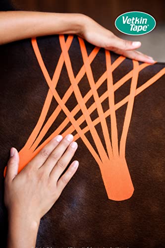 VETKIN VetkinTape® Veterinary Kinesiology Tape Orange | Kinesiology Tape for Horses & Dogs | Equine & Canine Kinesiotape | Latex Free and TÜV Quality Mark Certified Ktape | 1.2 inch | Pack of 2 Rolls