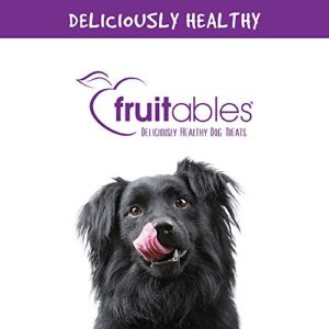 Fruitables Whole Jerky Dog Treats – Jerky Strips for Dogs – Gluten Free, Grain Free, Wheat Free – Made with Premium Meat and No Added Fillers – Grilled Bison – 12 Ounces