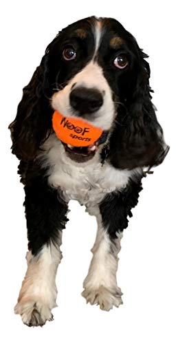 Dog Tennis Balls by Woof Sports - 12 Orange Tennis Balls for Dogs. Easy to Find! Includes Carrying Bag. Medium Size Balls Fits Standard Ball Launchers