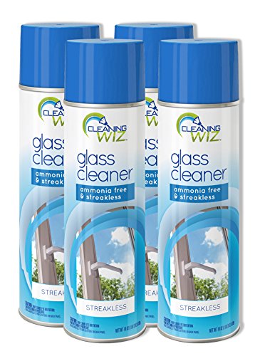 Cleaning Wiz Glass Cleaner, 19 Fluid Ounce (Pack of 4)