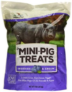 manna pro mini-pig treats | berries & cream flavor | 4 lb