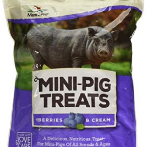 Manna Pro Mini-Pig Treats | Berries & Cream Flavor | 4 lb