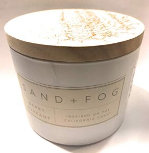sand + fog 12 oz. candle - berry currant